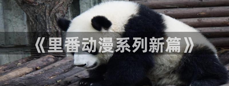 妹天堂动漫在线：《里番动漫系列新篇》