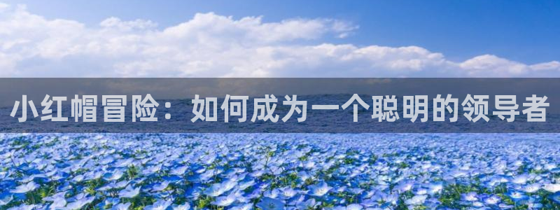 漫天堂动漫：小红帽冒险：如何成为一个聪明的领导者