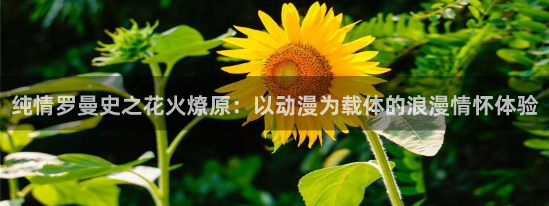 天堂动漫全称：纯情罗曼史之花火燎原：以动漫为载体的浪漫情怀体验
